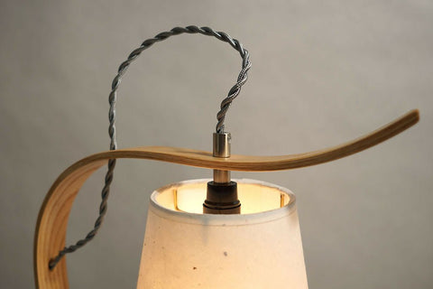 Bent Table Lamp, Ash with Walnut Base