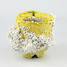  Yellow & Green Cup - Grant Akiyama