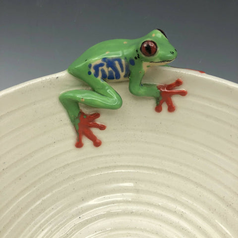 Red Eyed Tree Frog on Ribbed Bowl