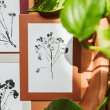  5X7 Botanical Monoprints (Matted) - Reclaimed Gardens