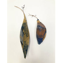  Two Seed Pods - Charles Schweigert