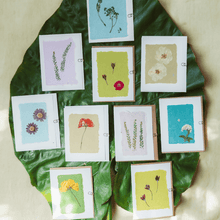  Pressed Flower Greeting Cards (Blank) - Reclaimed Gardens