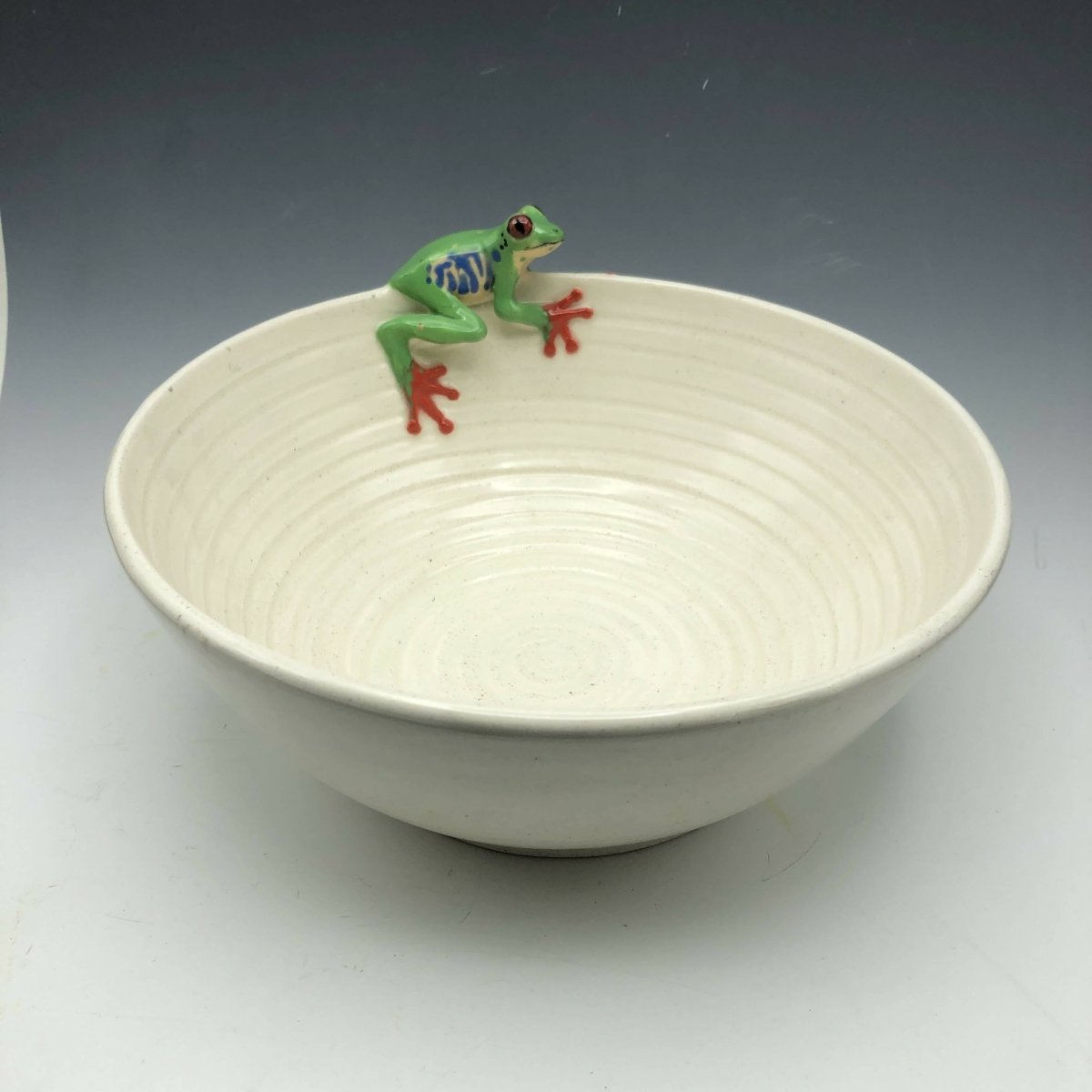 Red Eyed Tree Frog on Ribbed Bowl