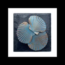  Scallop Shell Work - Nature’s Creations