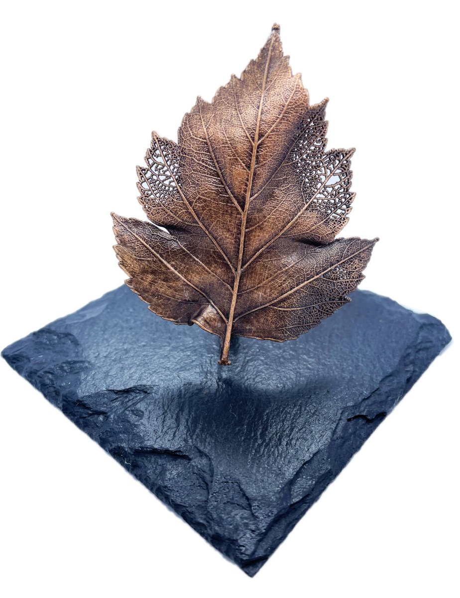 Hawthorn Leaf Sculpture on Slate