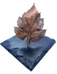  Hawthorn Leaf Sculpture on Slate - Nature’s Creations