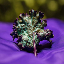  Natural Kale Pins - Nature’s Creations