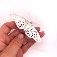  White Satin Moth, Pin - Gabrielle Gould