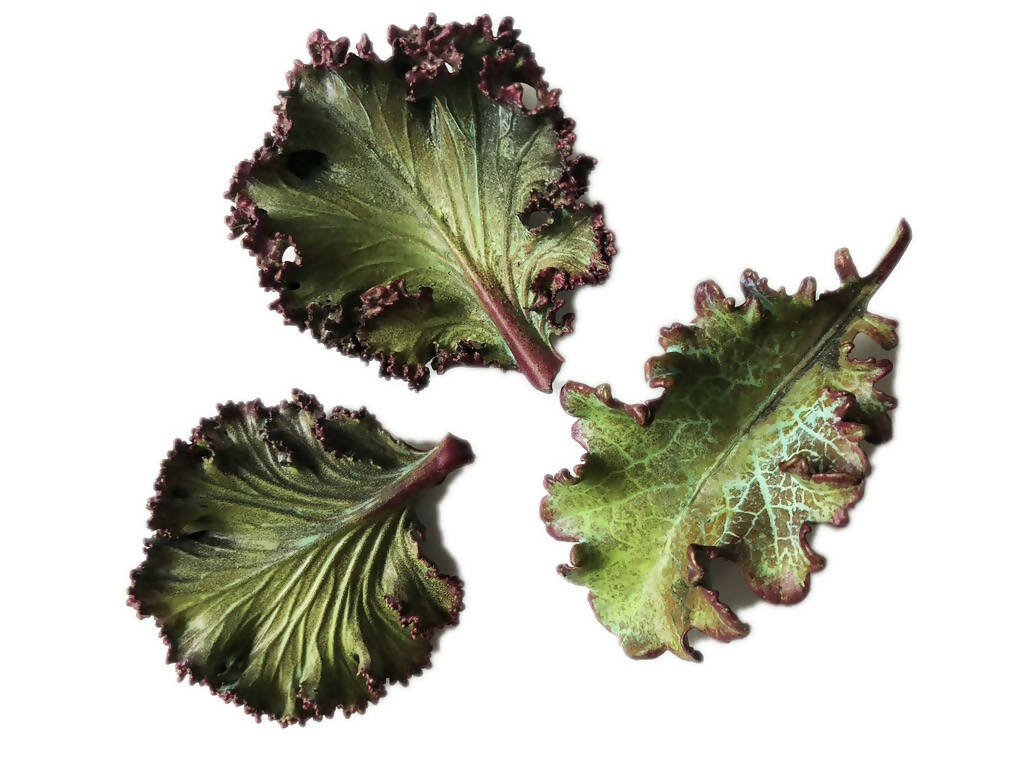 Natural Kale Pins