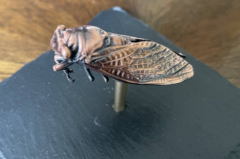 Cicada Sculpture and Necklaces